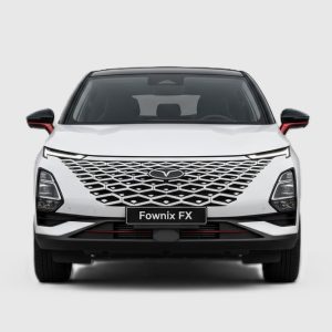 دسته بندی لوازم یدکی فونیکس FX